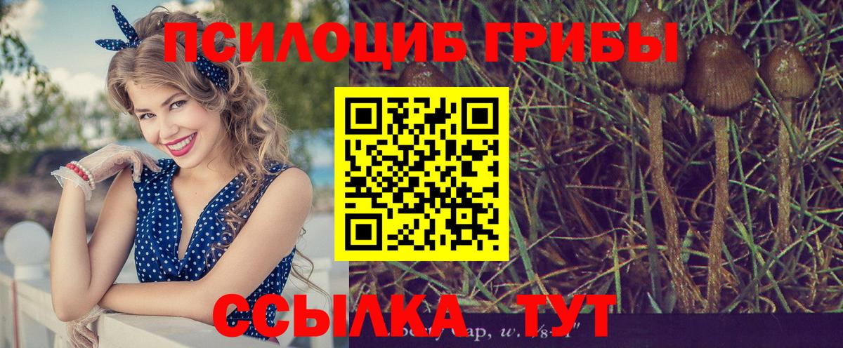 Псилоцибиновые грибы GOLDEN TEACHER Армавир